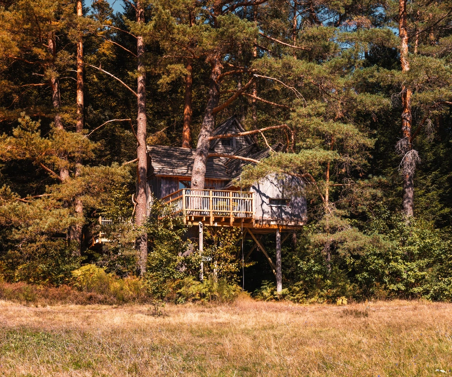 Terrasse panoramique de la cabane La Tour à 5 mètres de hauteur dans les Vosges