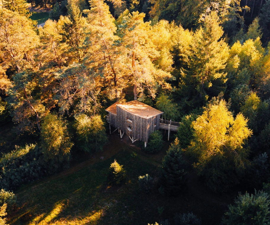 Cabane deluxe L'Avancée Nature accessible PMR – Cabanes Nids des Vosges Champdray