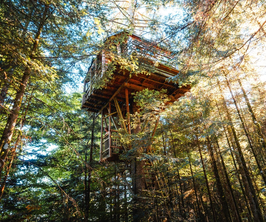 Cabane L'Observatoire perchée à 10 mètres dans un sapin des Vosges – Nids des Vosges