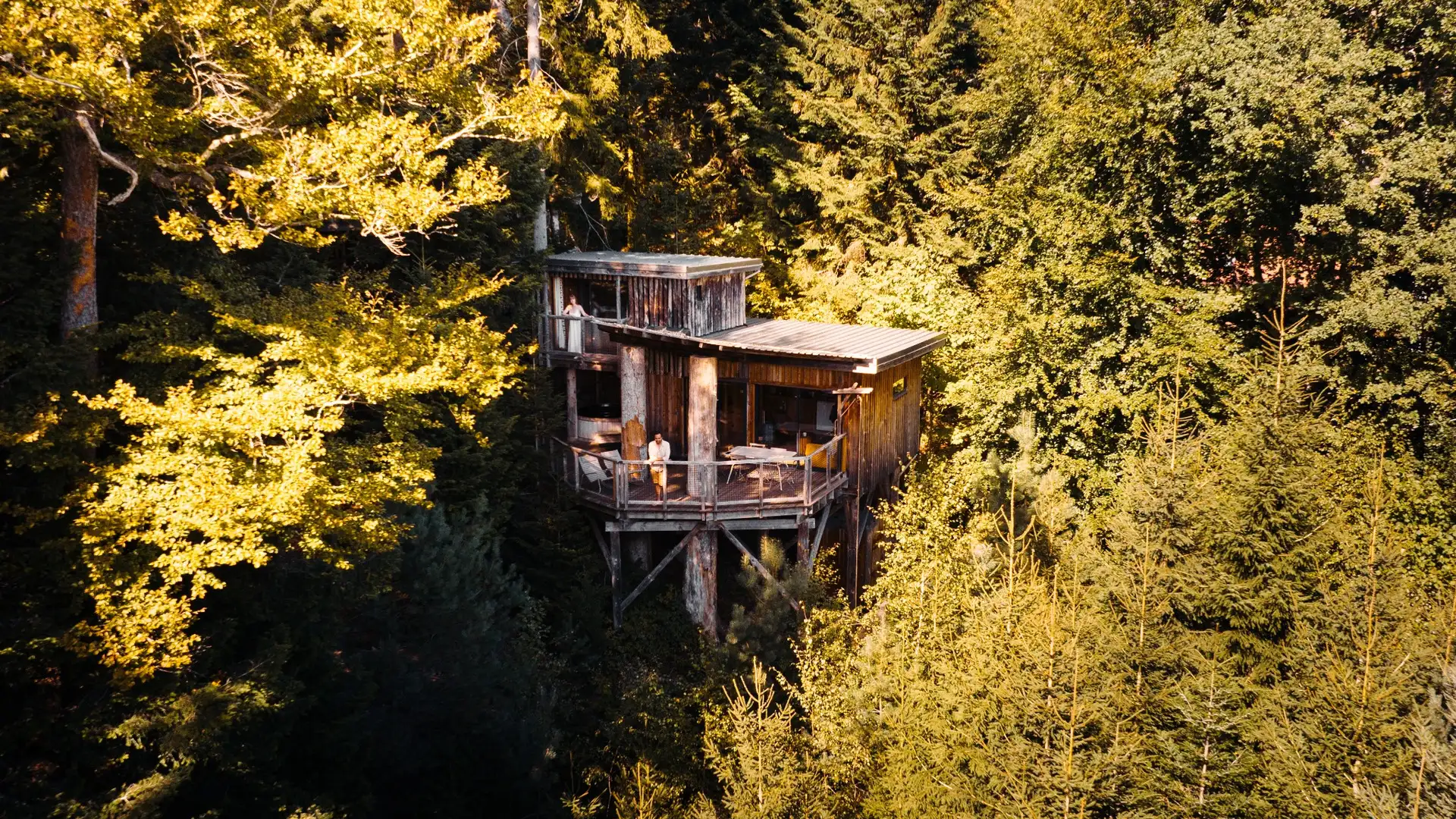 Cabanes sur pilotis dans la forêt - Coucoo Cabanes - Cabanes Nids des Vosges
