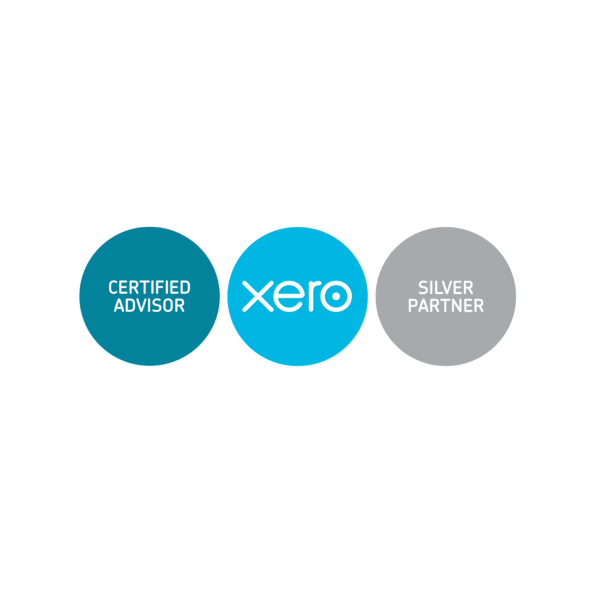 Xero Accounting Partner