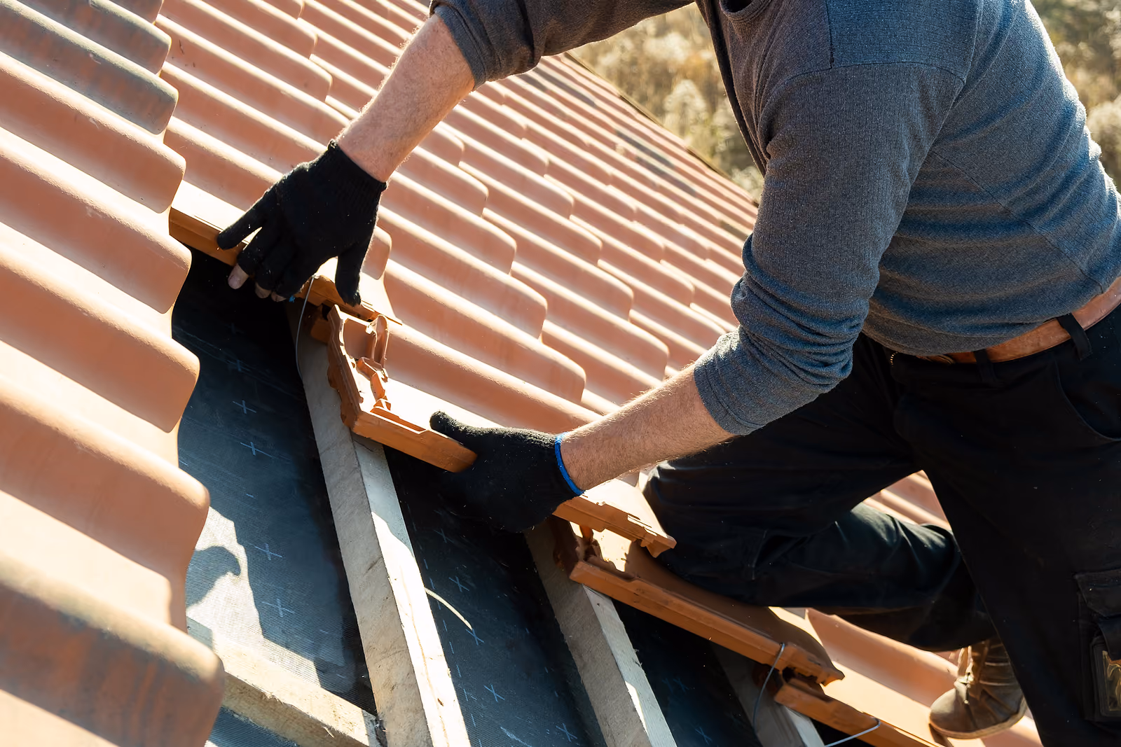 Common Signs of Storm Damage to Your Roof