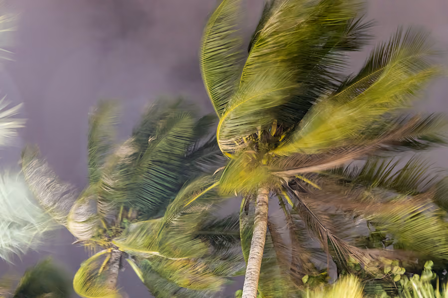 Is There a Difference Between Hurricane Windows & Impact Windows?