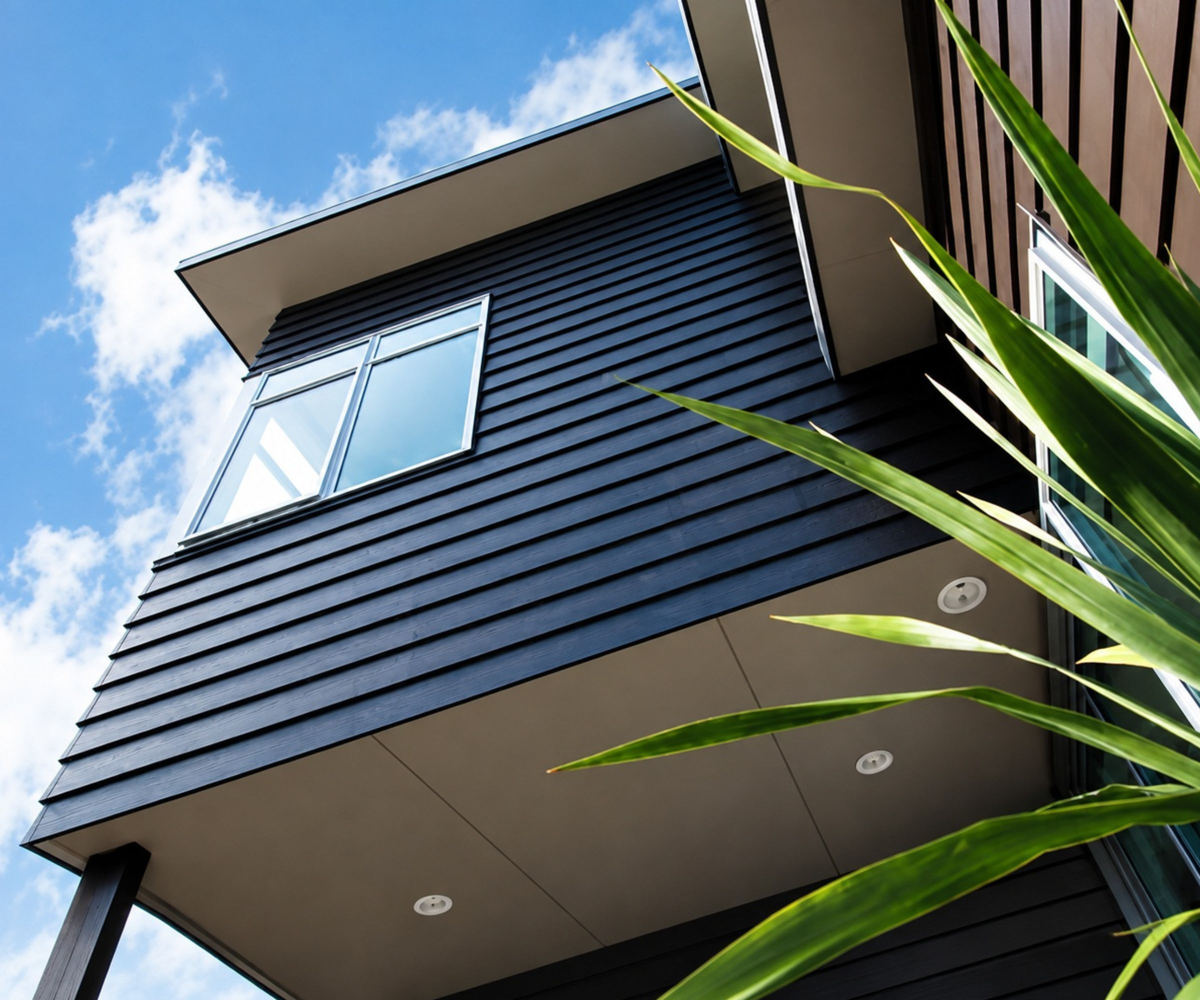 Dark lap siding and soffit detail on a modern coastal home