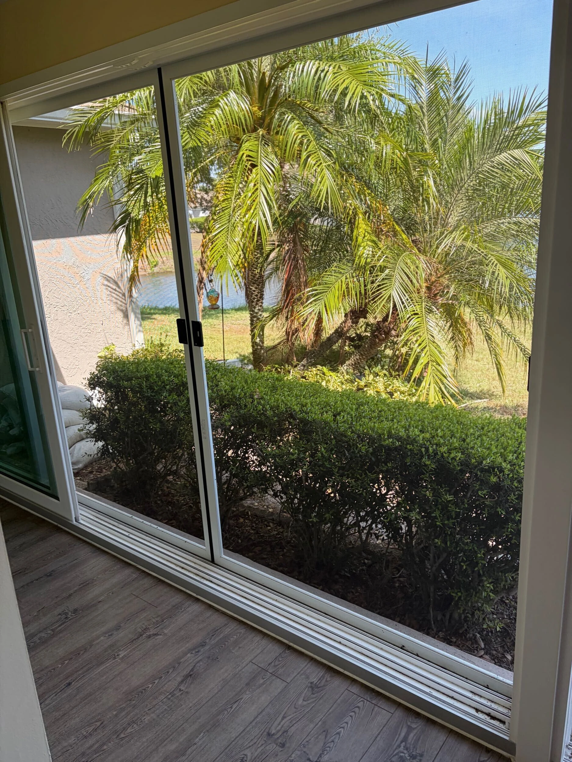 Sliding glass door opening onto a palm-shaded backyard