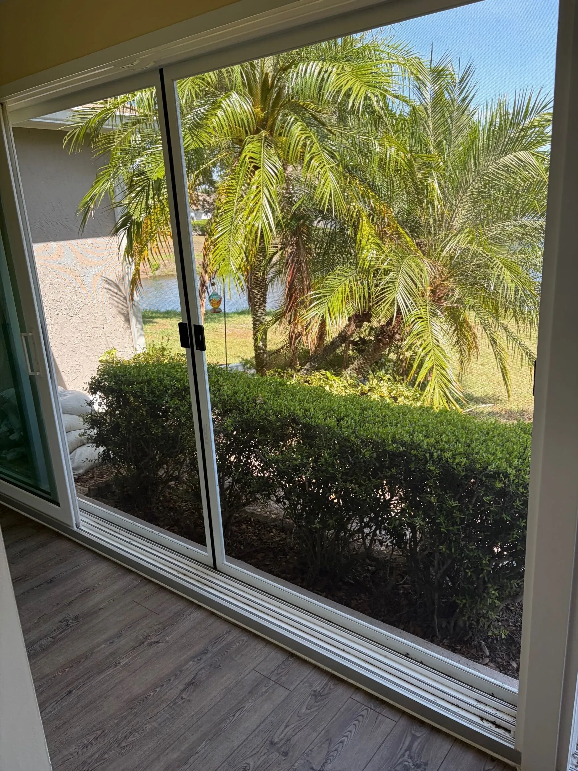 Sliding glass door opening onto a palm-shaded backyard