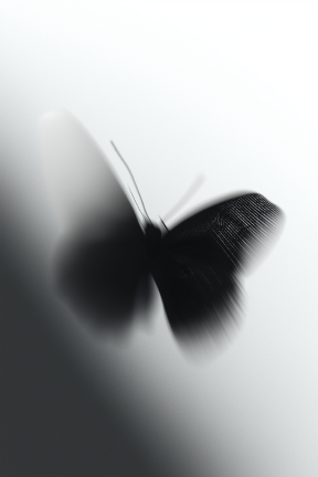 Black butterfly silhouette on soft white background.
