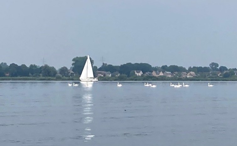 Kraaij2