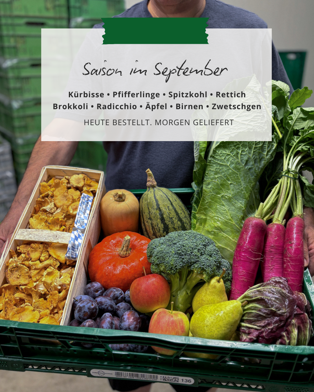 Kiste mit frischem Obst und Gemüse für Gastronomie und Lebensmittelhandel