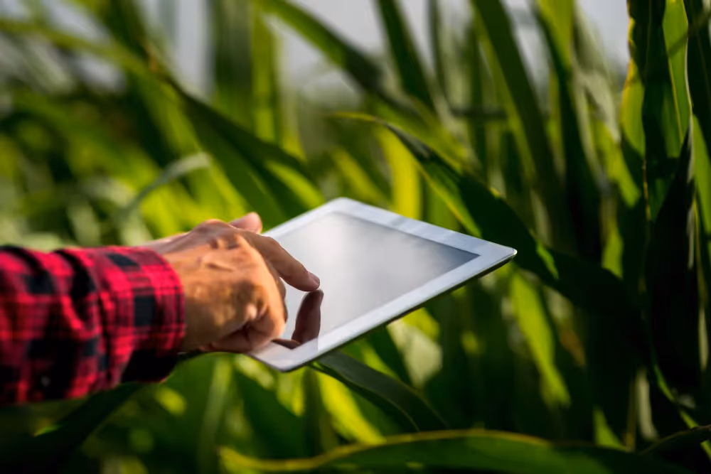 Developed Noxious Weed Management System