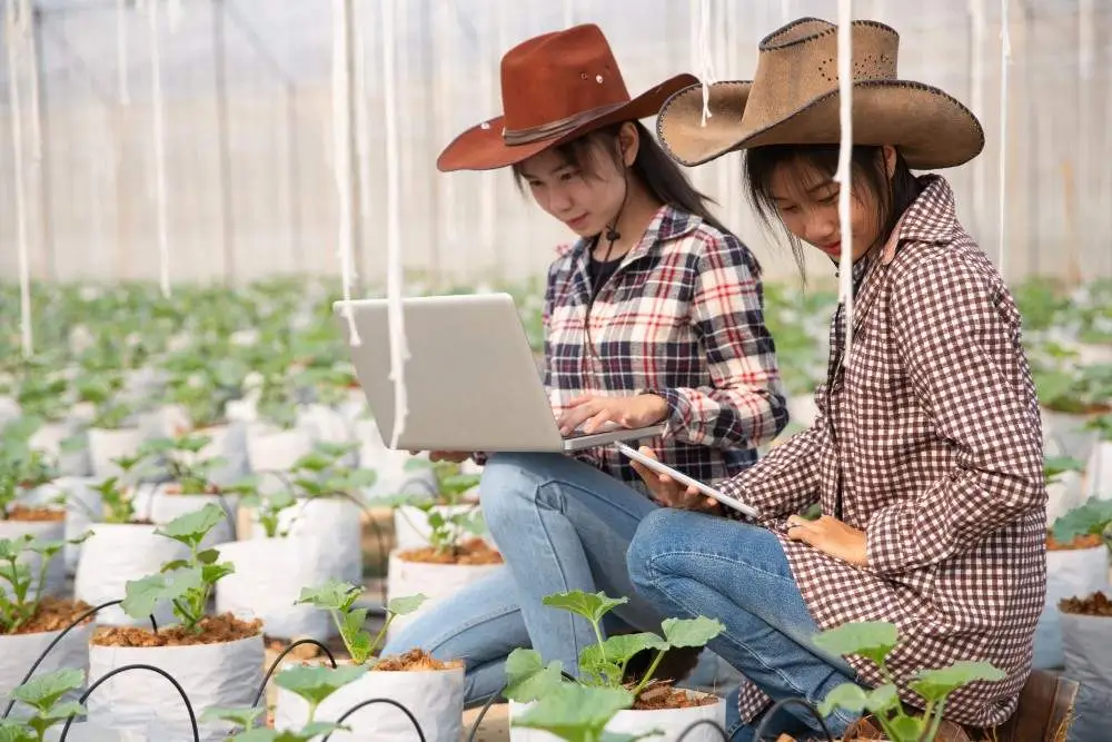 Agritech and E-Commerce are driving Direct-to-Farmer Marketplaces