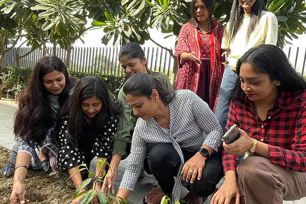 Plantation Drive