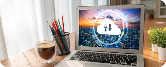Clear adoption visibility with actionable insights for continuous optimization