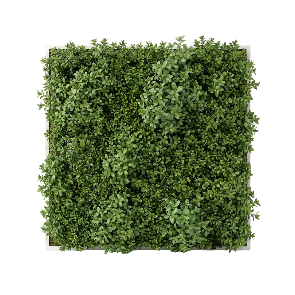 Green Roof