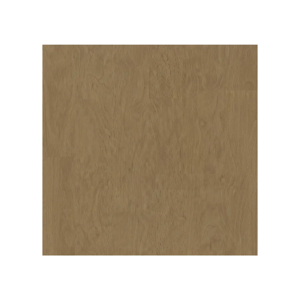 Eternal Beige