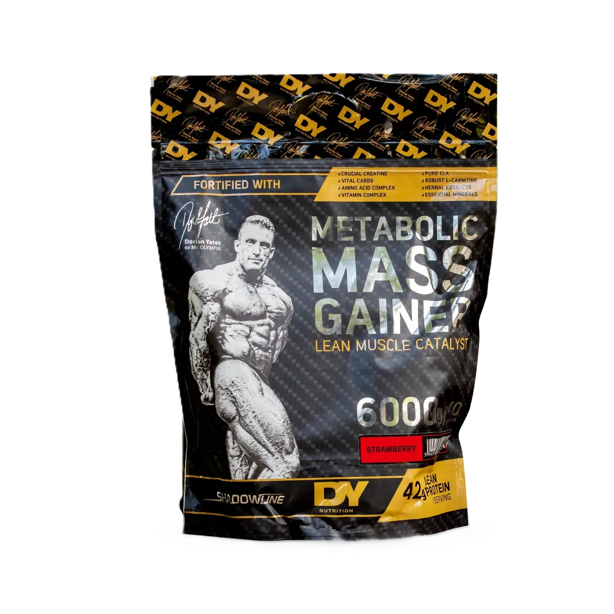 Dy Nutrition Metabolic Mass Gainer 6kg