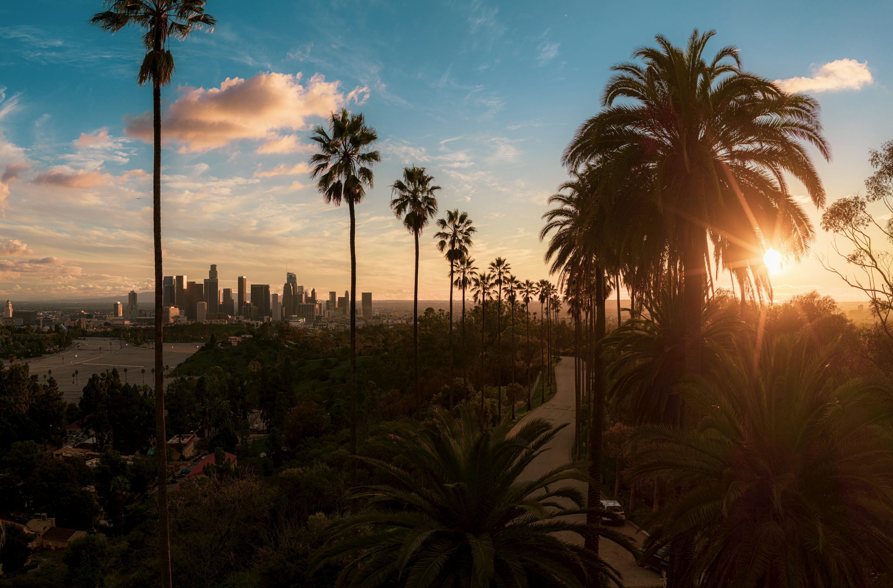 Palm trees and the Los Angeles skyline at sunset