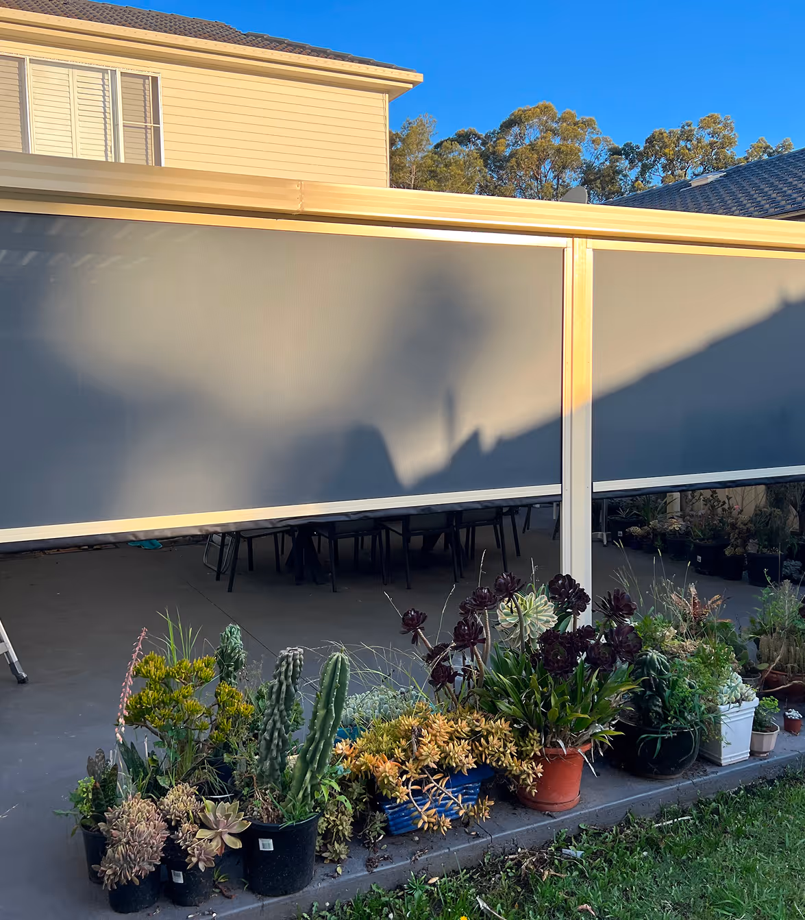 Various potted succulent plants arranged on a patio edge with a covered seating area behind.