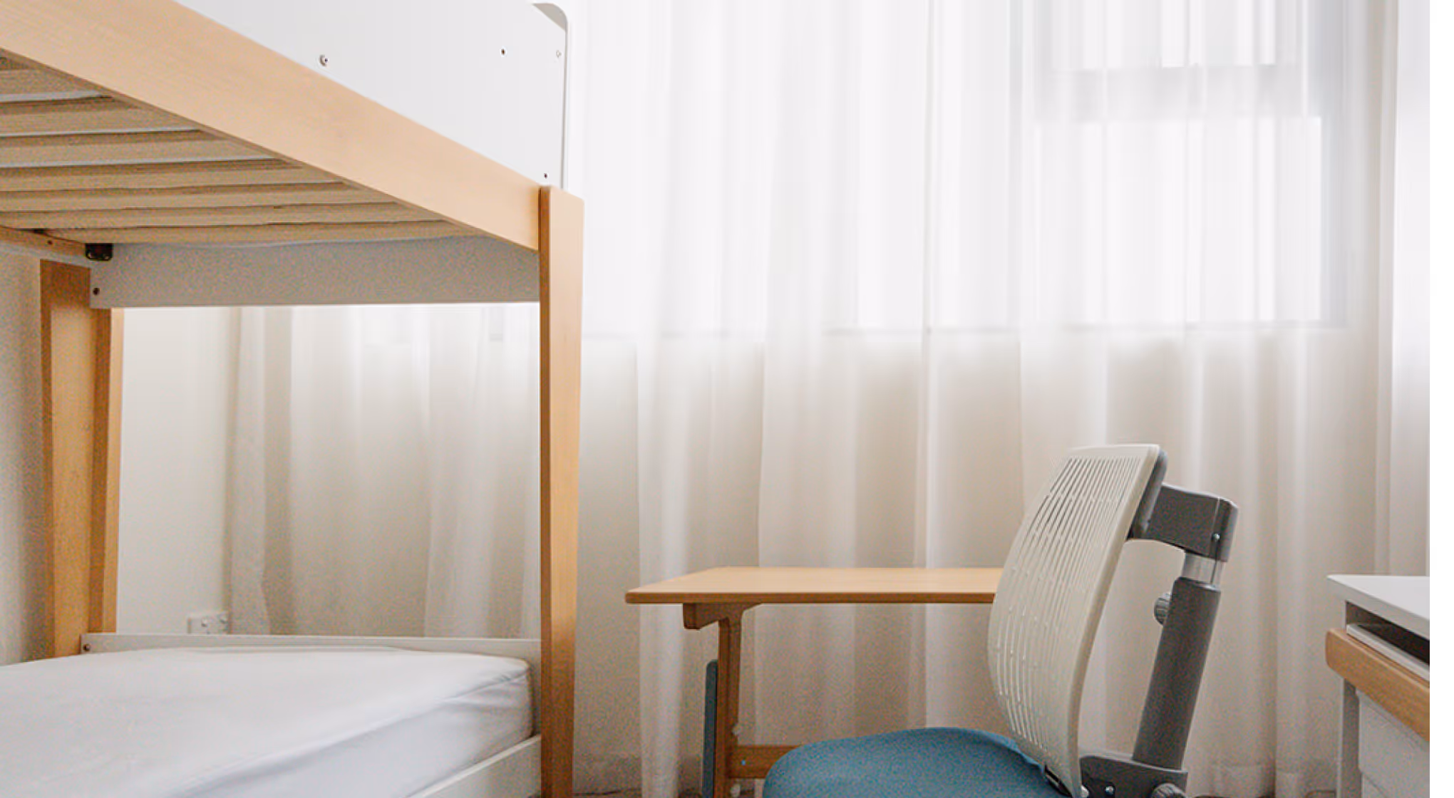 Minimalist room with wooden bunk bed, light wooden desk, and blue office chair by sheer white curtains.
