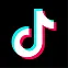 TikTok Icon