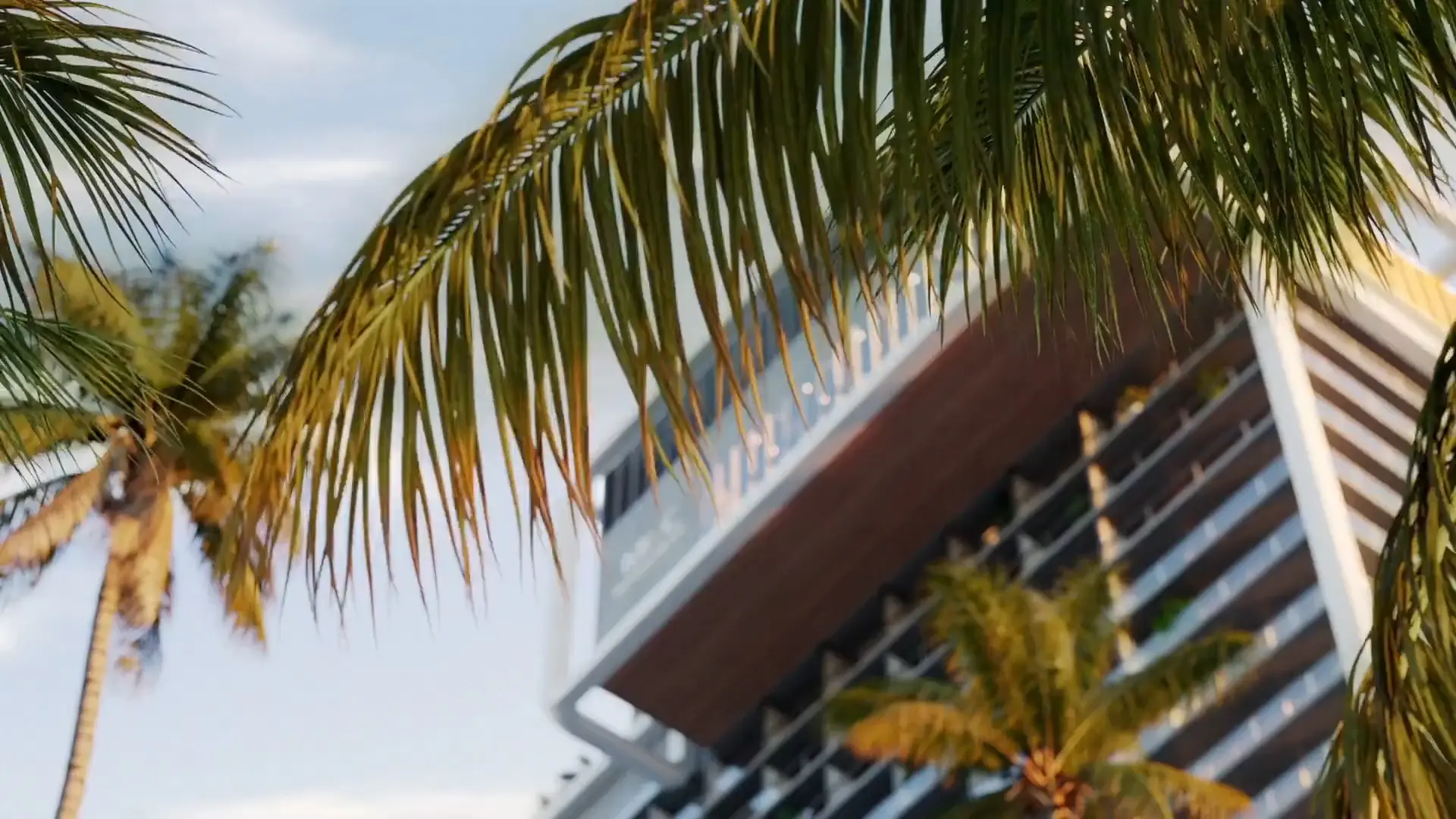 Modern building framed by palm tree leaves against a blue sky, Mr. C Miami – Coconut Grove, luxury hotel.