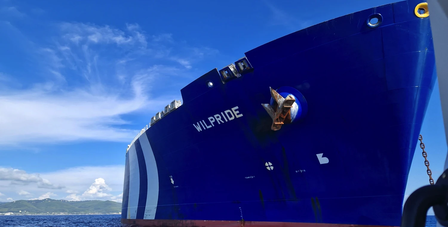 The bow of the LNG vessel Wilpride 