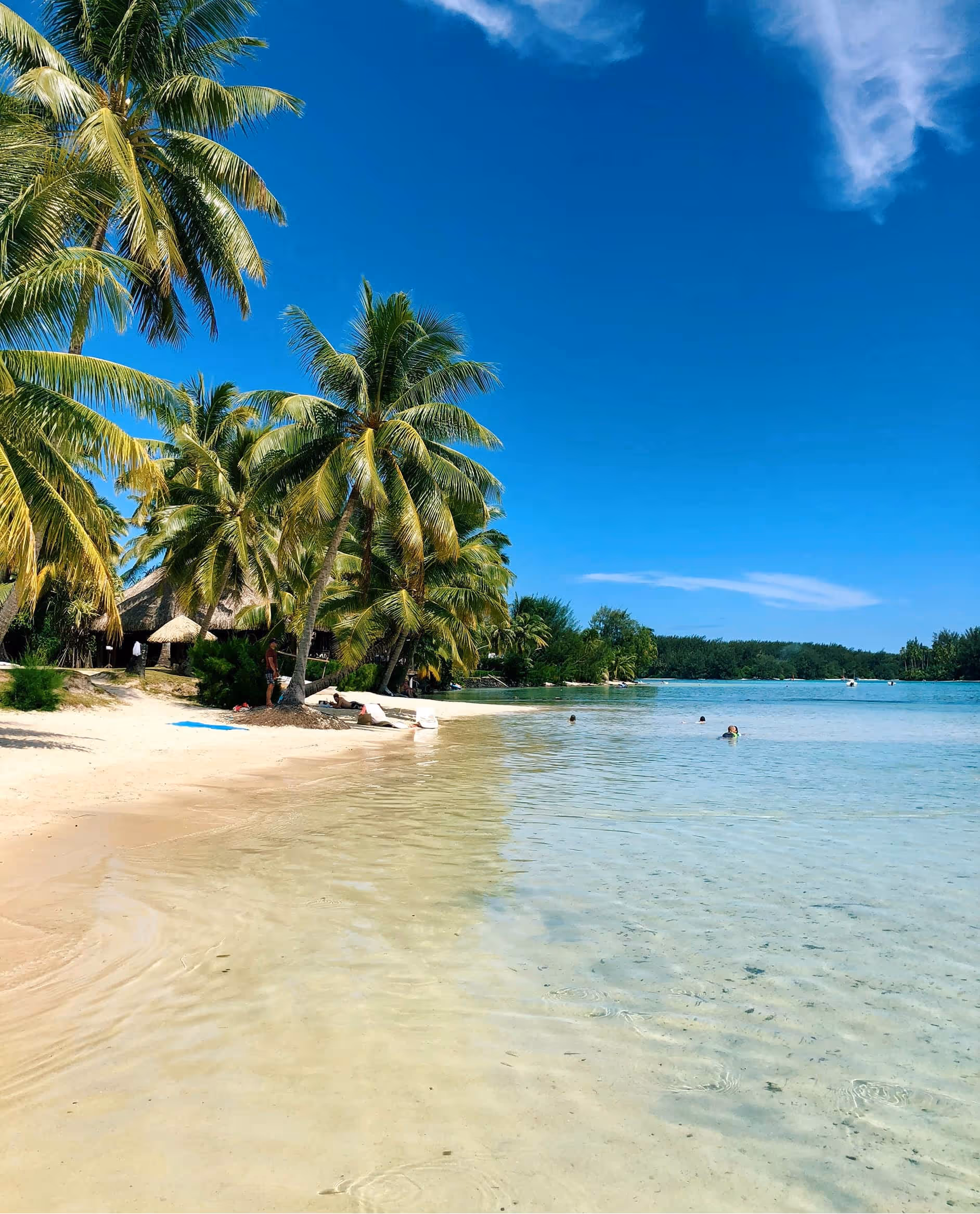 Clear shallow beach water with palm trees and people swimming under blue sky.
