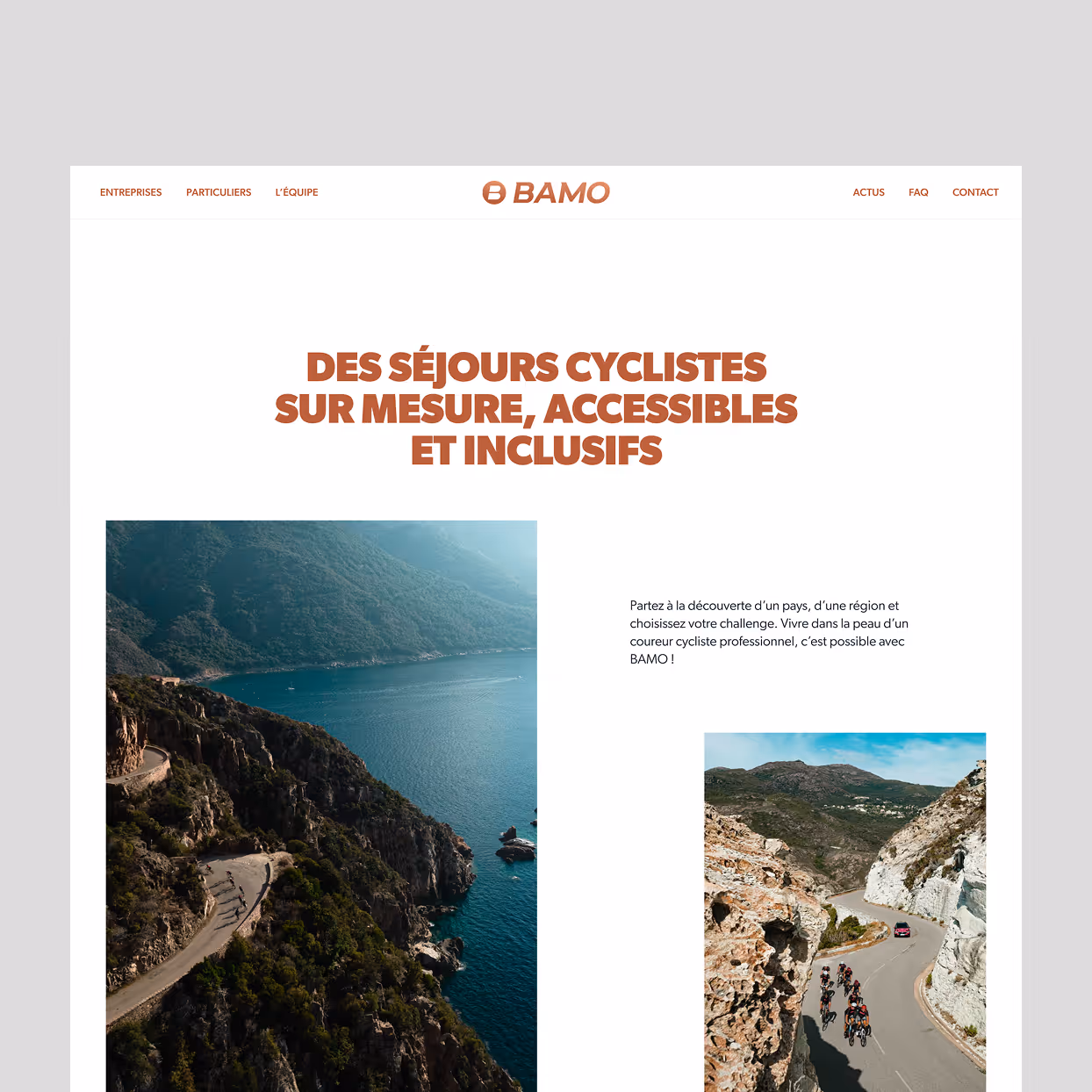 Webpage of BAMO experience