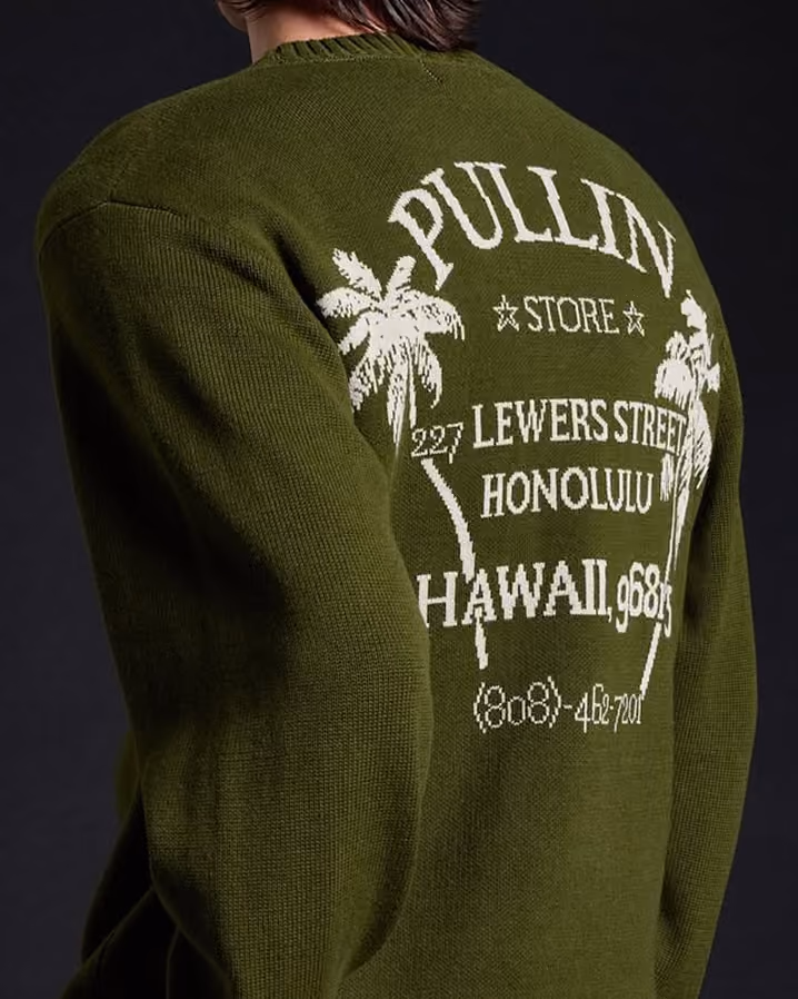 Person wearing an olive green sweater with white tropical palm tree and Hawaii text on back.