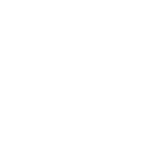 dianovi logo