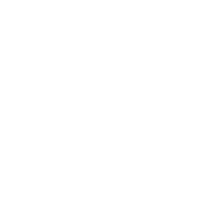 nubedian logo