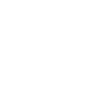veli logo