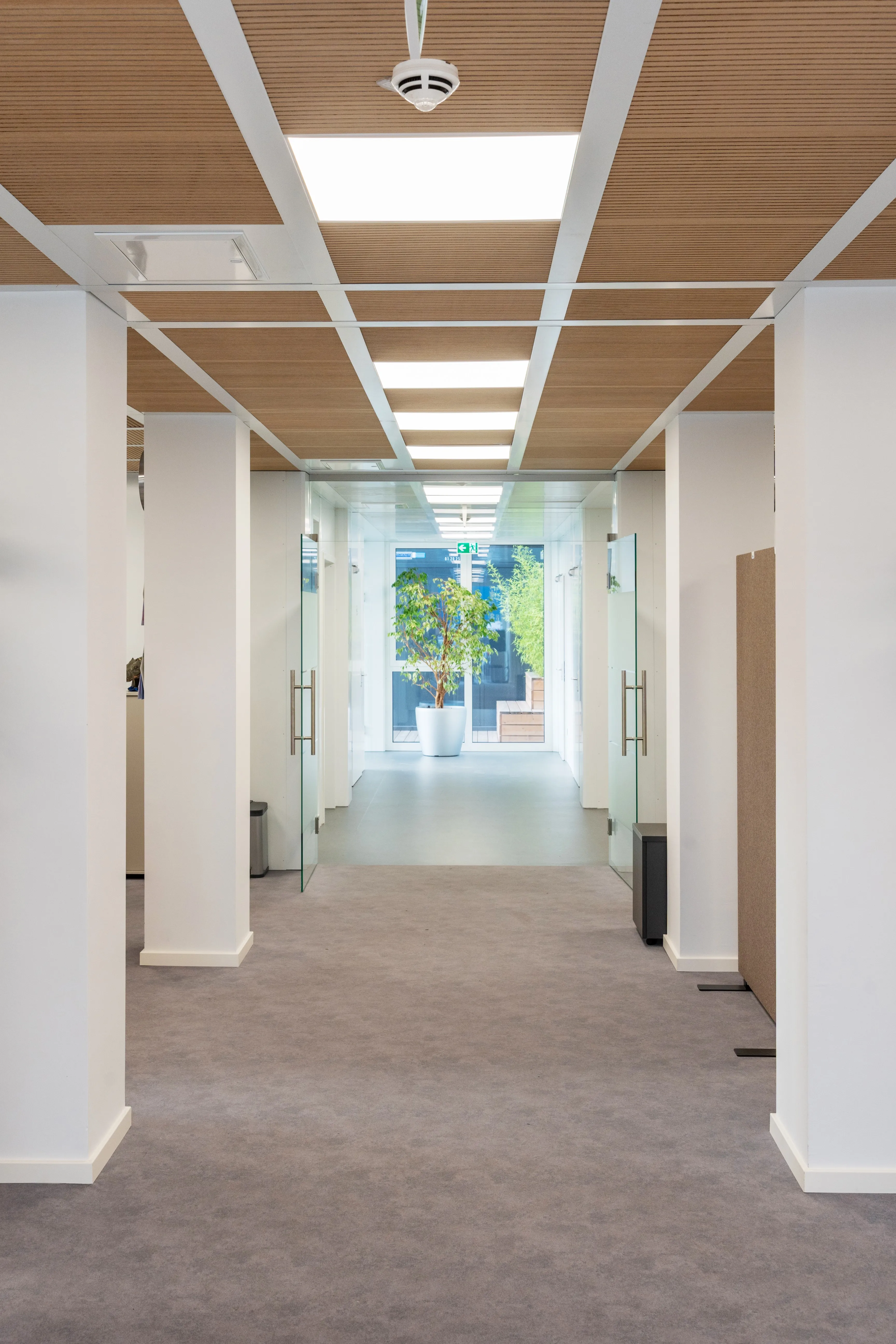 Office Container Interior