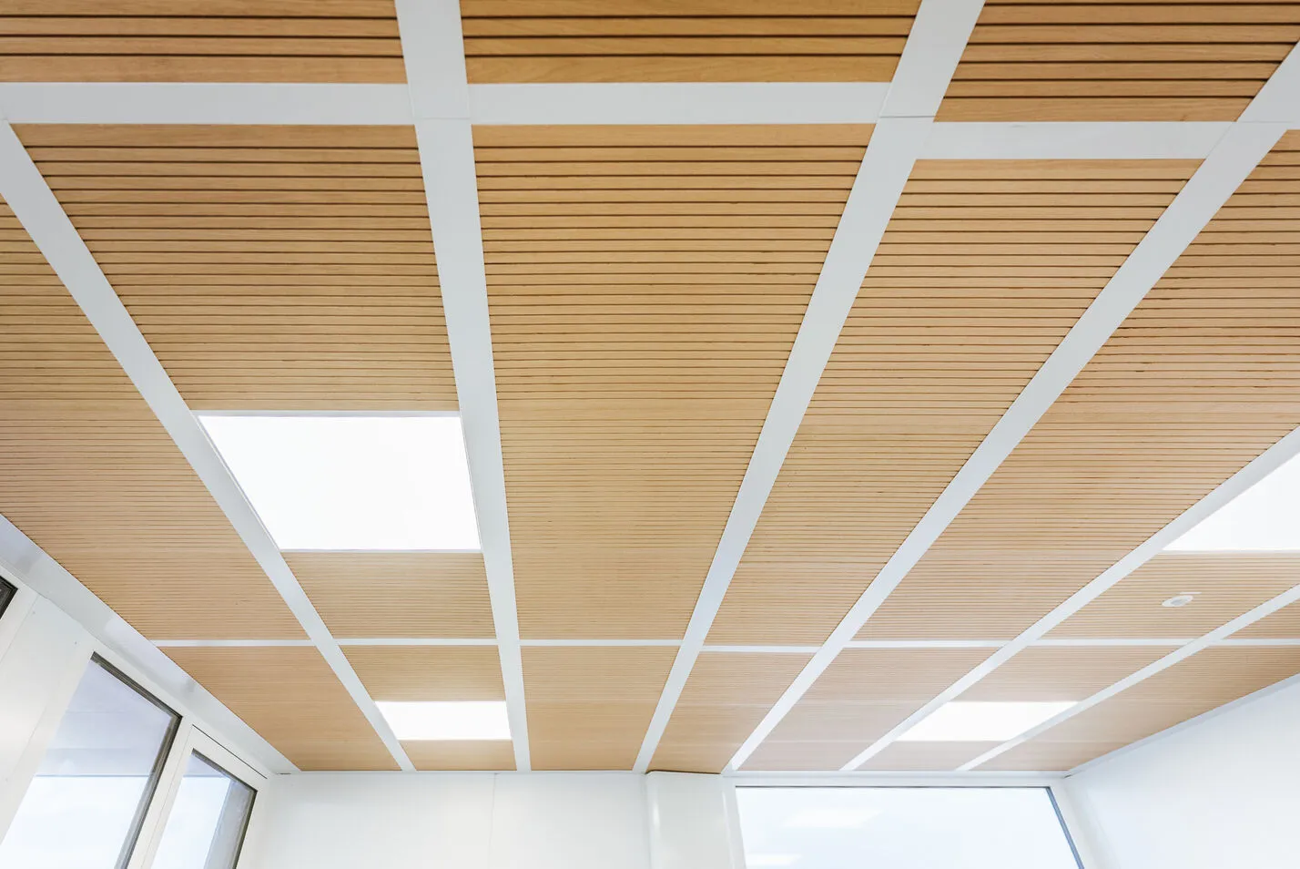 Wood Roof