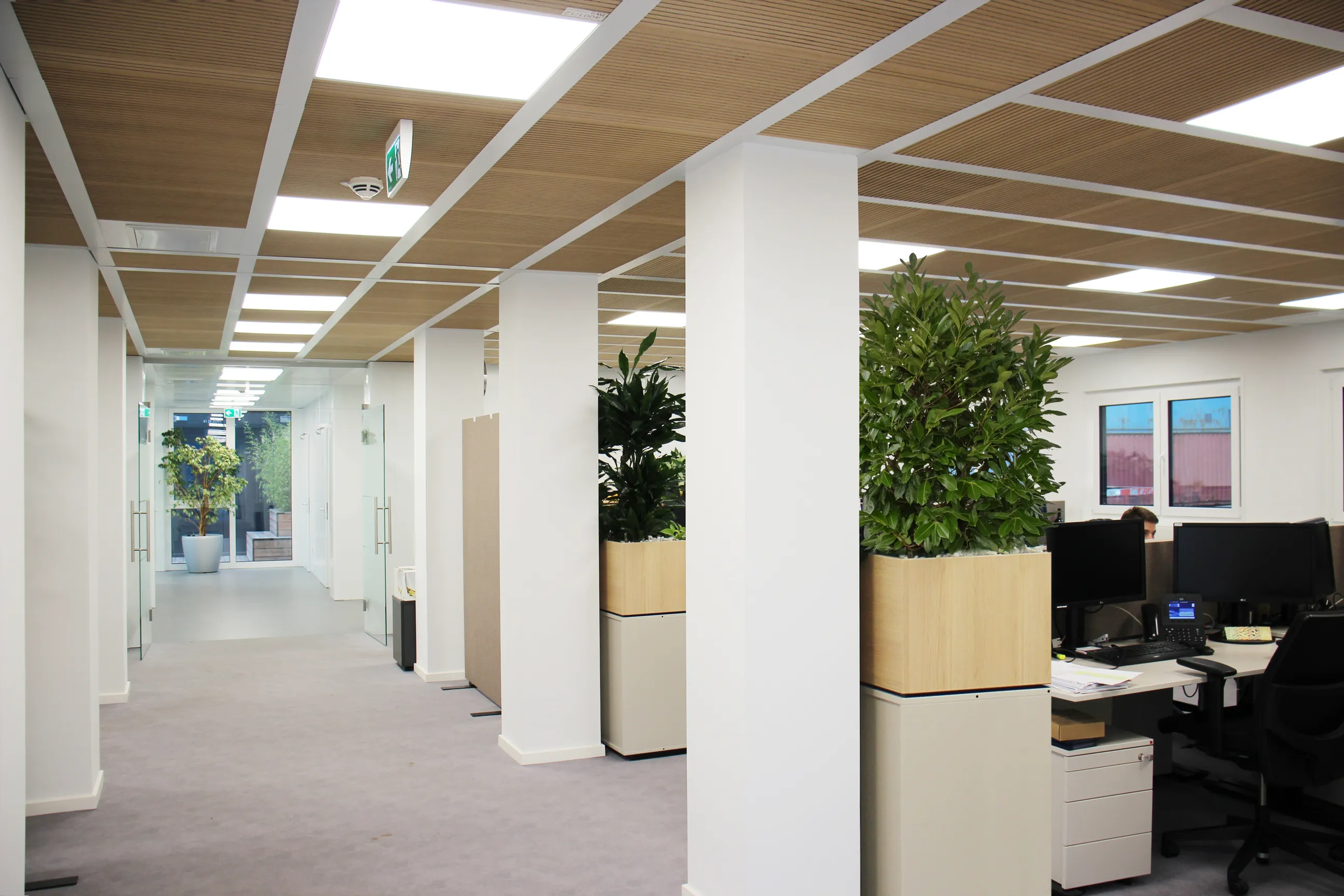 School Offices