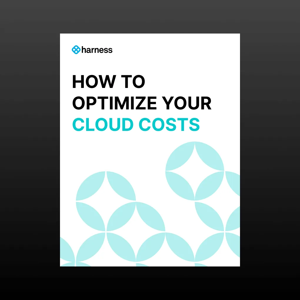 Definitive Guide to Cloud Cost Optimization