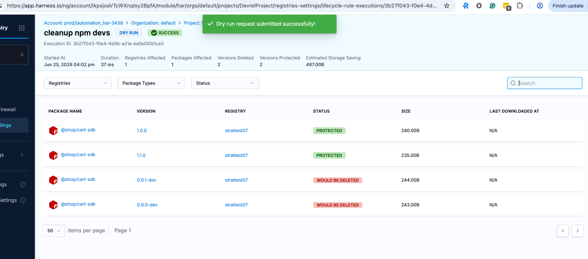 Lifecycle rule dry run showing protected releases and dev versions flagged for deletion