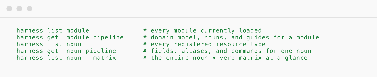 Screenshot illustrating: 2. Discover the surface without leaving the terminal