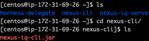 Terminal output validating the installation of nexus-iq-cli.jar on a CentOS instance