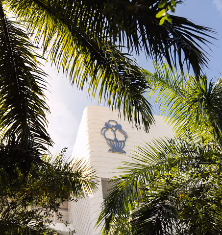 Fachada do hotel emoldurada por folhas de palmeira, Mr. C Miami – Coconut Grove, hotel de luxo.