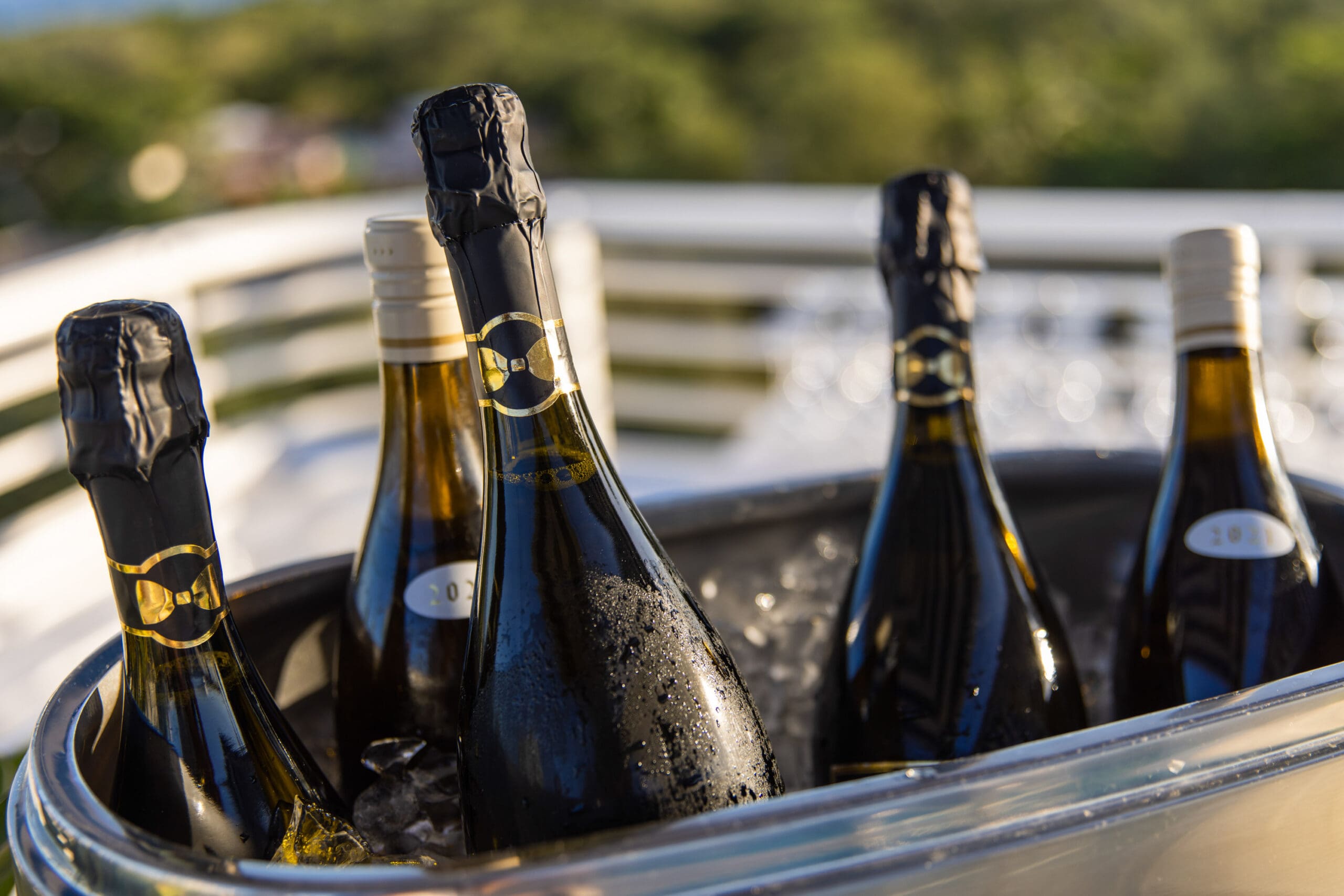 Cinq bouteilles de vin et de champagne au frais dans un seau à glace en argent en extérieur, Mr. C Miami – Coconut Grove, hôtel de luxe.