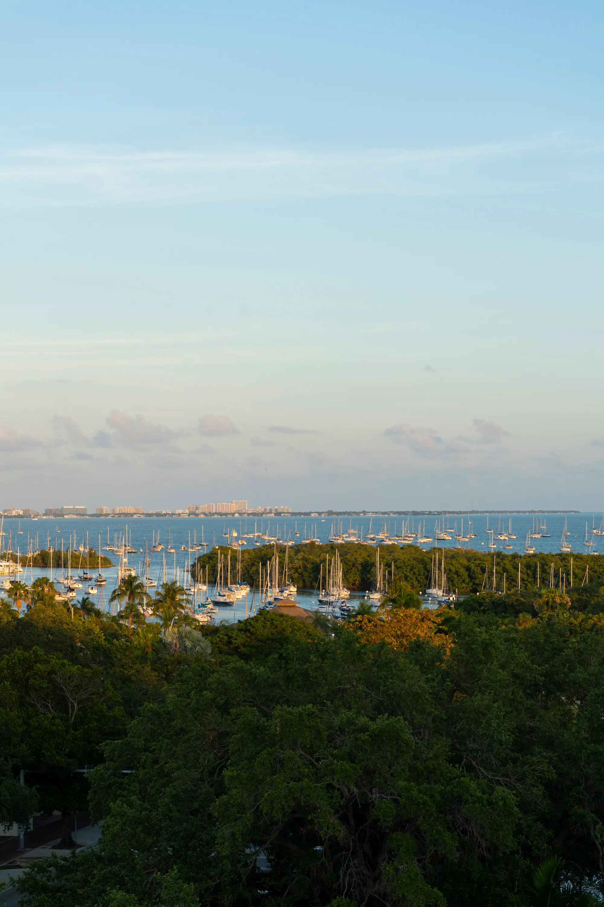 View of a marina with many sailboats anchored near a lush tree-covered shore under a clear sky , Mr. C Miami – Coconut Grove, luxury hotel.