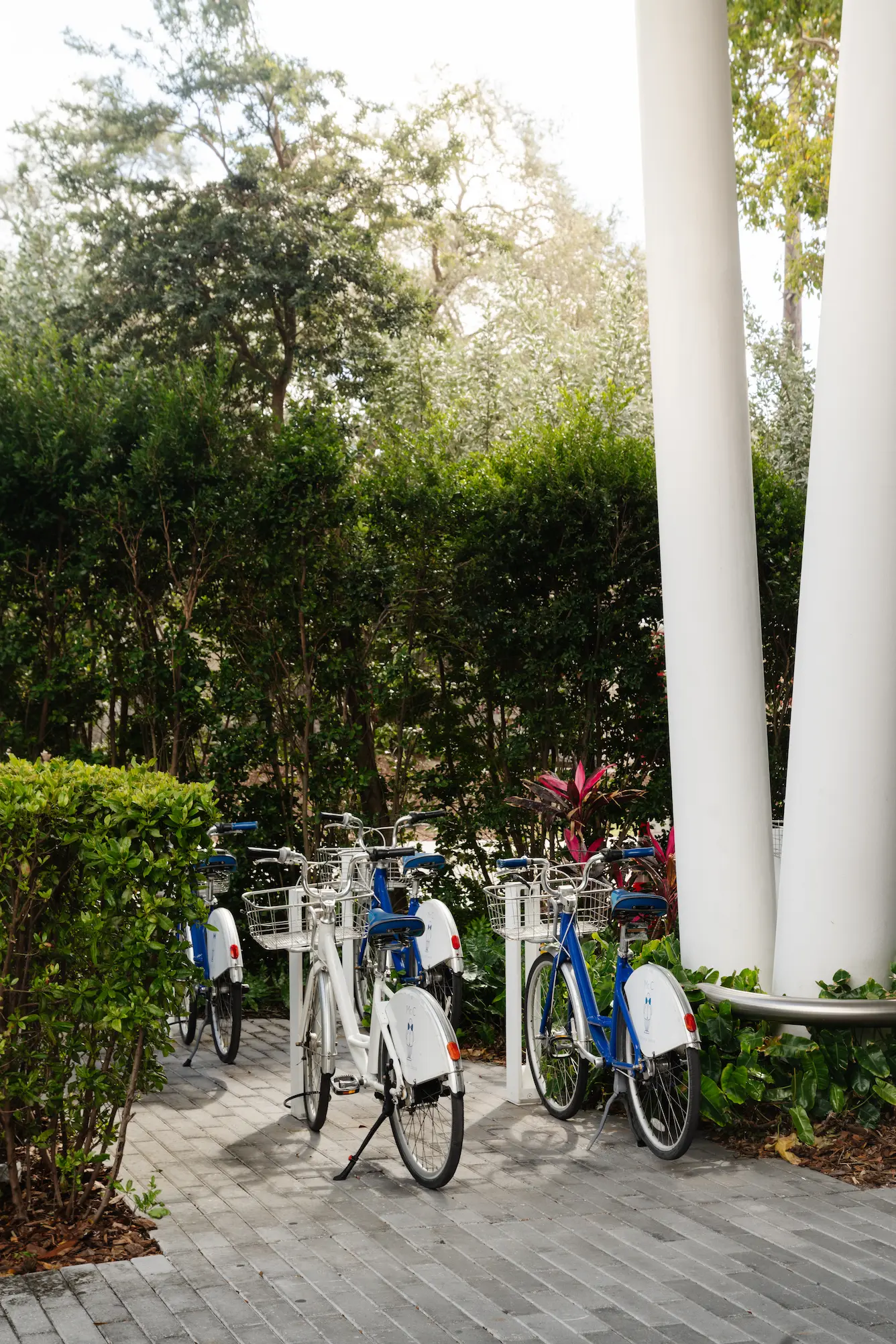 Parked white and blue bicycles with baskets on a paved area surrounded by green bushes and trees , Mr. C Miami – Coconut Grove, luxury hotel.