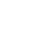 Texas Auctioneers Association Logo