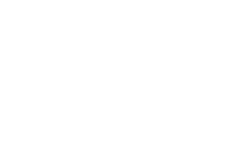 CAI Auctioneer Logo