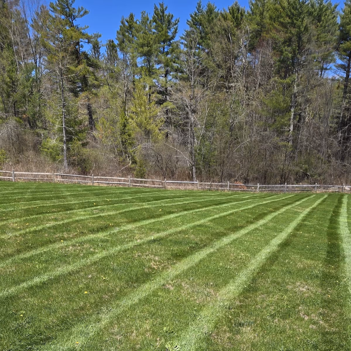 Routine lawn maintenance services for healthy turf in Berkshire County Massachusetts