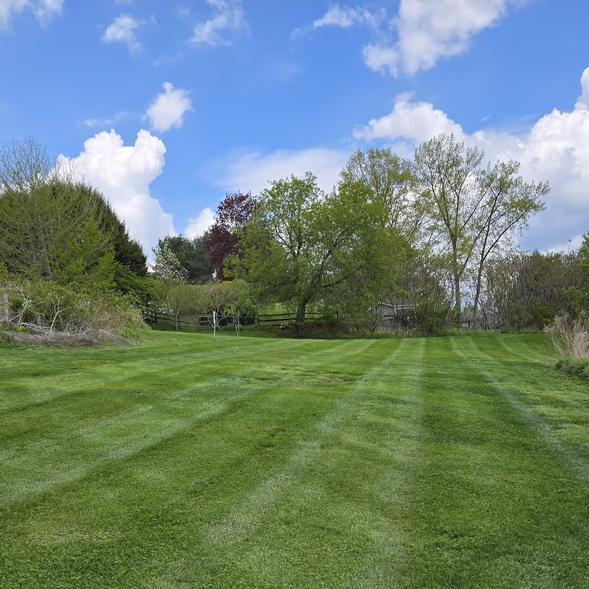 Detailed lawn trimming and maintenance for clean property appearance