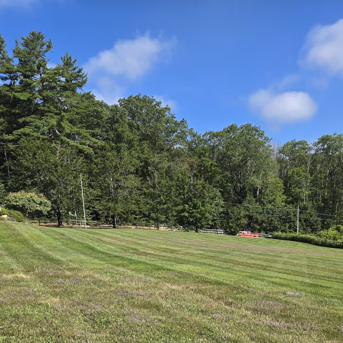 Spring cleanup and dethatching services for healthy lawn growth