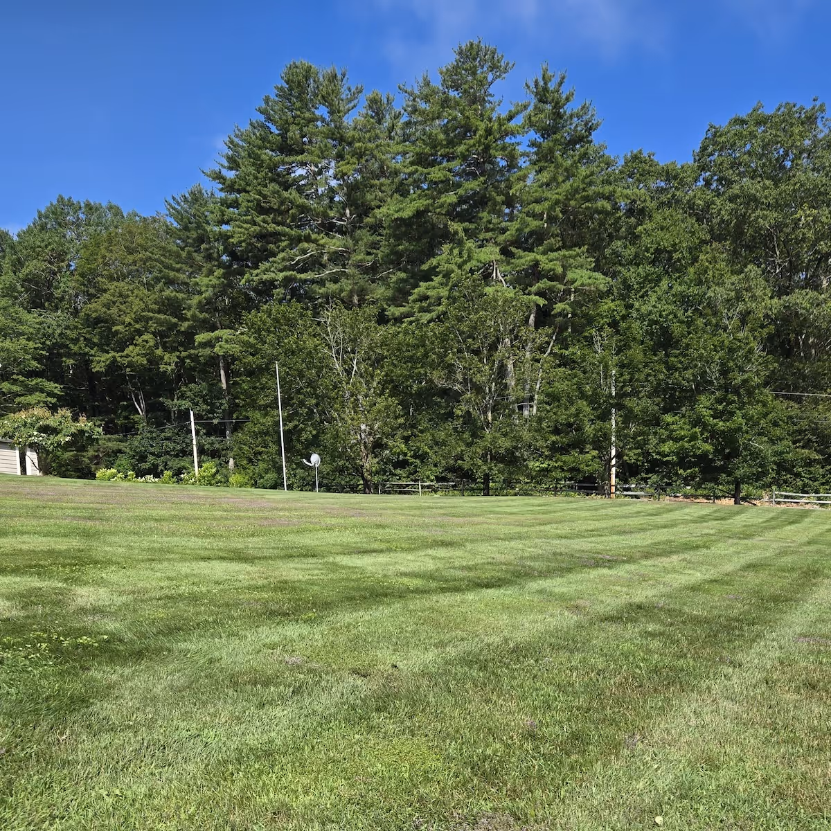 Residential lawn care maintenance near me with mowing and edging