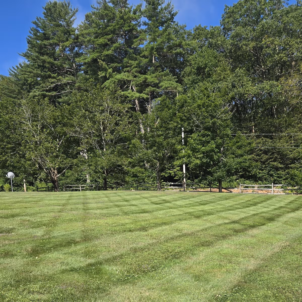 Healthy green lawn after fertilization treatment Berkshire Land Associates